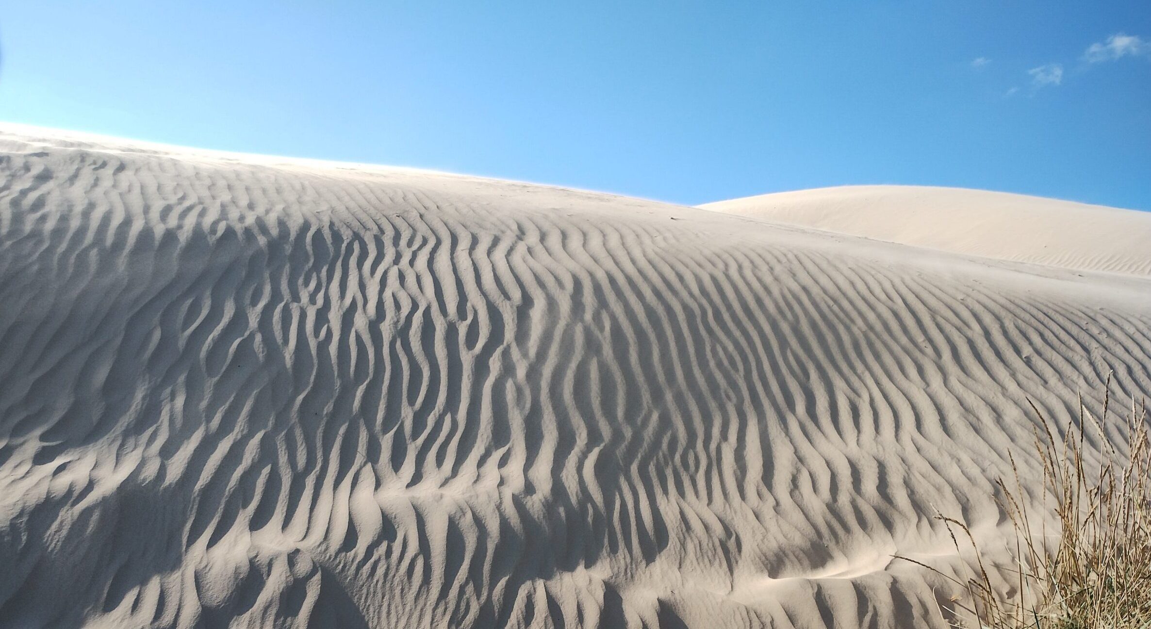 Sandriller